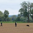 Hundesport - Schutzhundausbildung