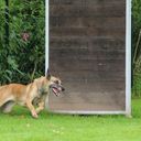 auch dieses Versteck ist leer.... und weiter geht`s