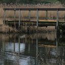 Kaiserteich 13.01.18