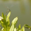 Startklar und Abflug