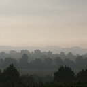 Nebel in der Landschaft schafft immer eine besondere Stimmung